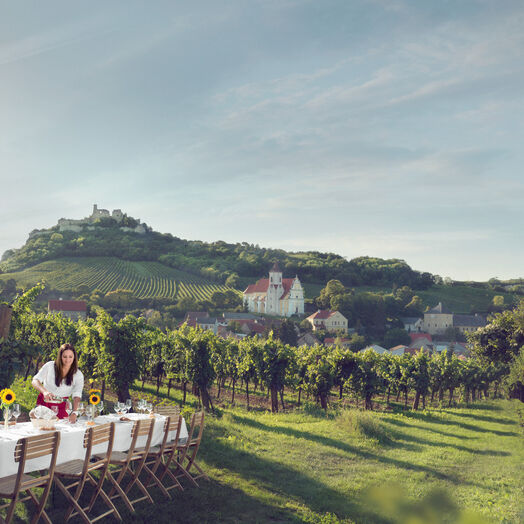 Tafeln im Weinberg