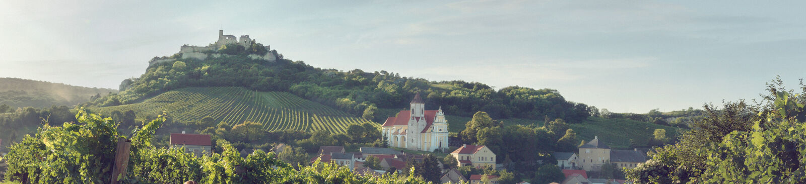 Tafeln im Weinberg