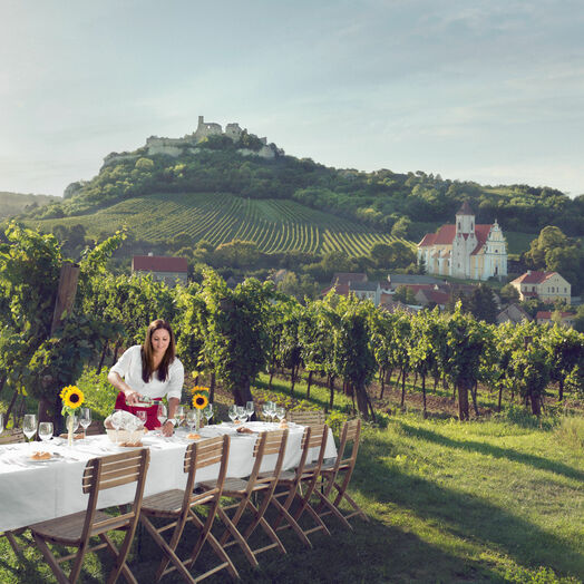 Tafeln im Weinberg