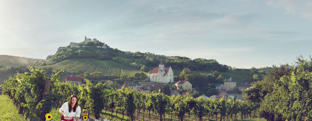 Tafeln im Weinberg