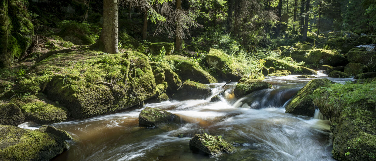 Der Höllfall im Waldviertel