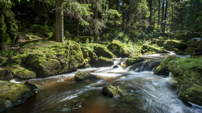 Der Höllfall im Waldviertel