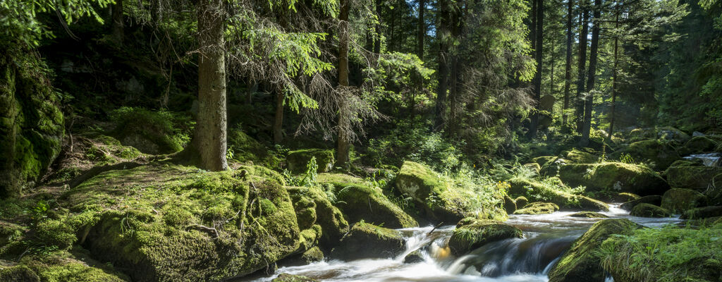 Der Höllfall im Waldviertel