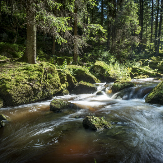 Der Höllfall im Waldviertel