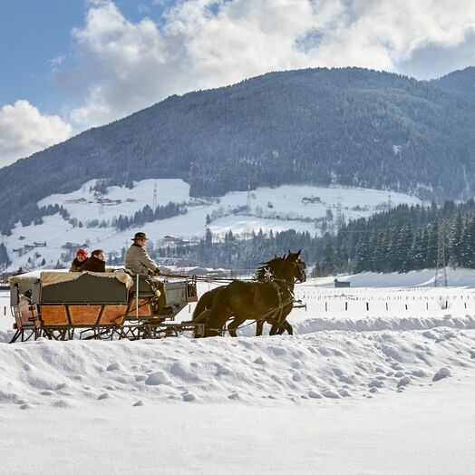Im Pferdeschlitten durchs SalzburgerLand