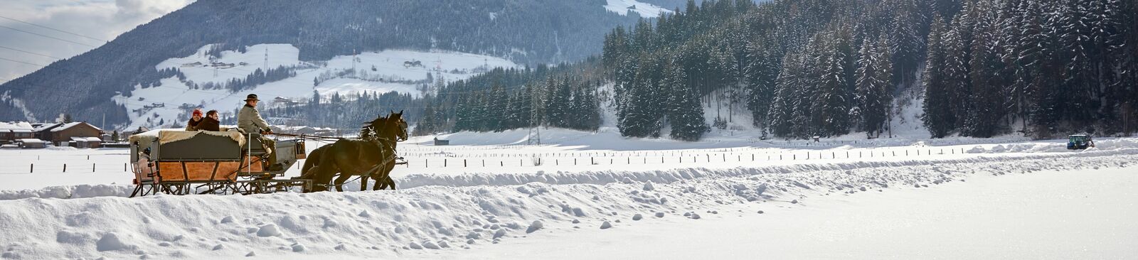 Im Pferdeschlitten durchs SalzburgerLand