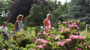 Botanischer Garten Linz