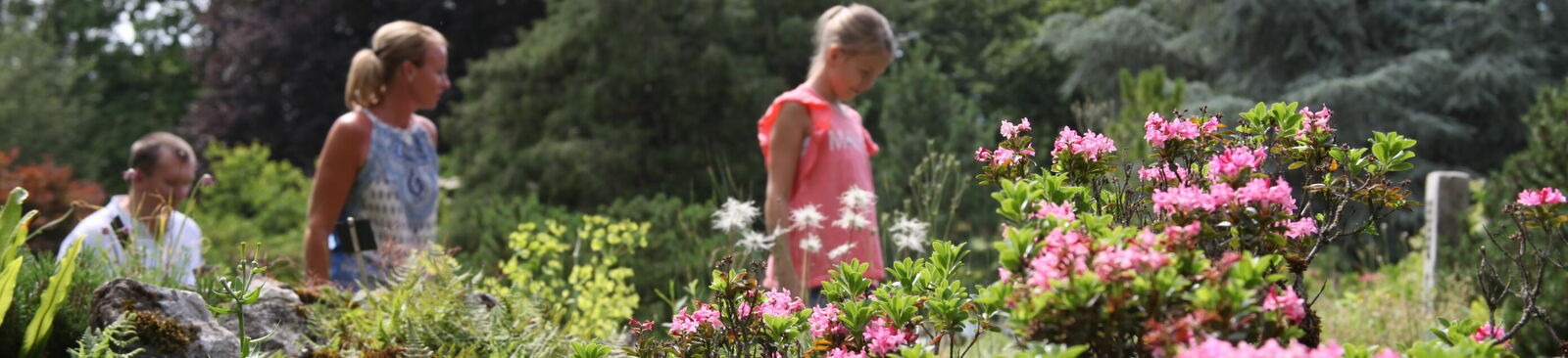 Botanischer Garten Linz