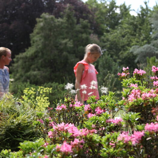 Botanischer Garten Linz