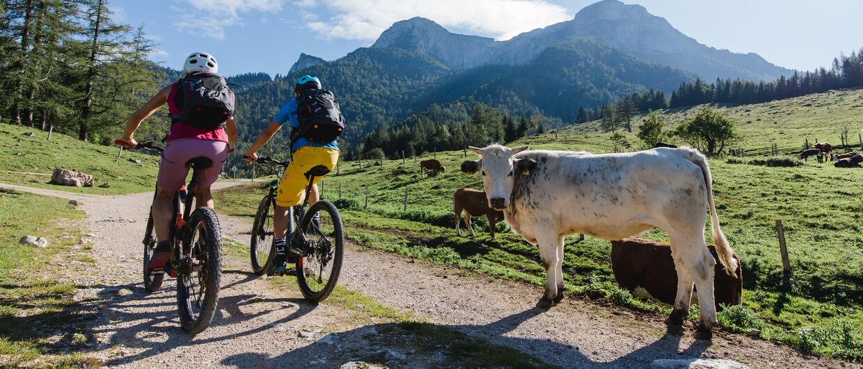 Auf dem BergeSeen E-Trail unterwegs durchs Salzkammergut 