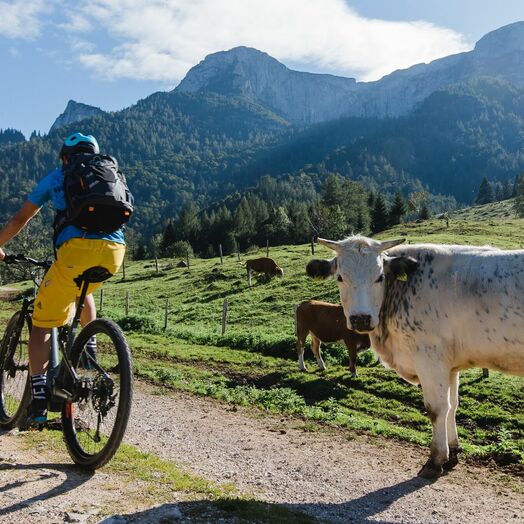 Auf dem BergeSeen E-Trail unterwegs durchs Salzkammergut 