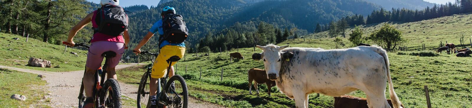 Auf dem BergeSeen E-Trail unterwegs durchs Salzkammergut 