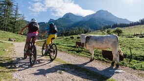 Auf dem BergeSeen E-Trail unterwegs durchs Salzkammergut 
