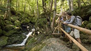 Ysperklamm