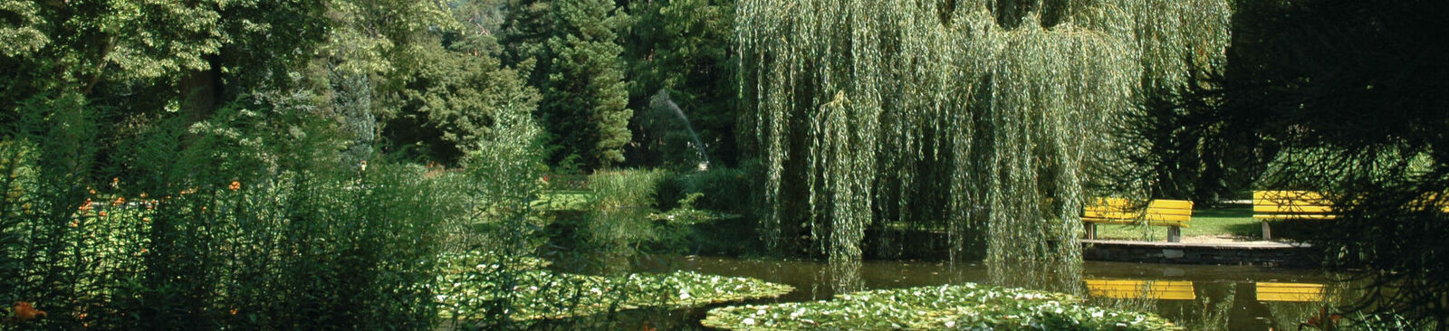 Innsbrucks Idylle: der Hofgarten