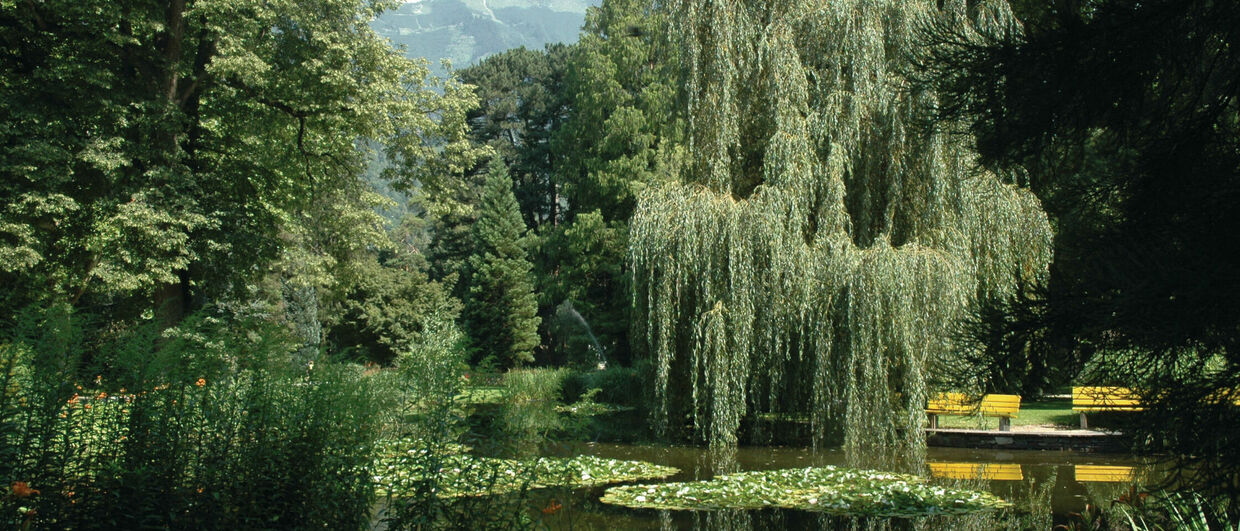 Innsbrucks Idylle: der Hofgarten