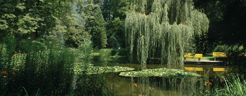 Innsbrucks Idylle: der Hofgarten