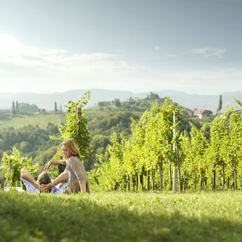 South Styrian Wine Country