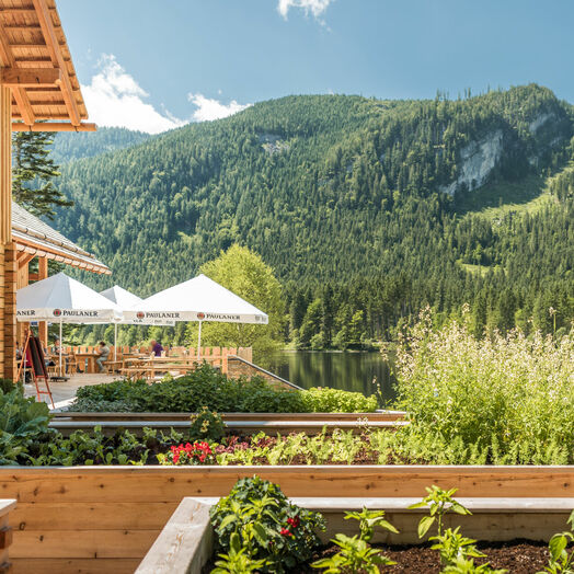 Genuss Gasthaus Kohlröserlhütte am Ufer der Ödensees
