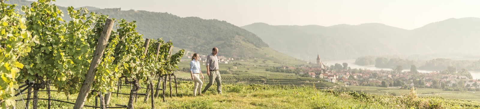 Wandern am Welterbesteig Wachau