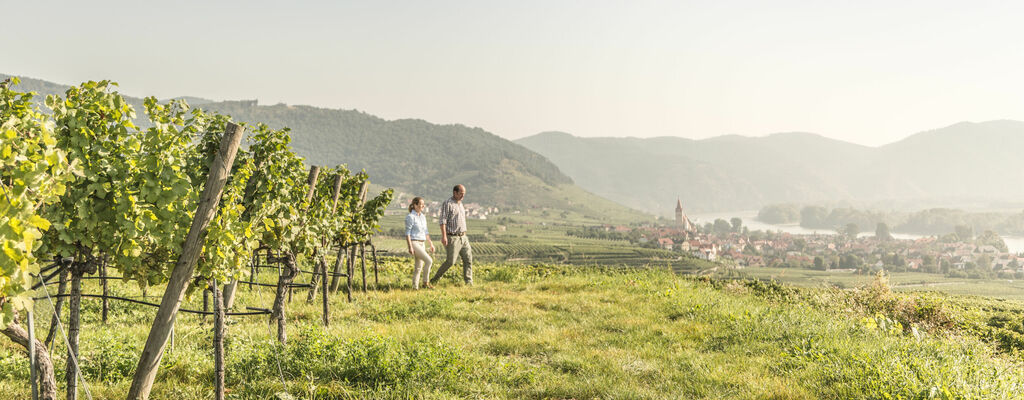 Wandern am Welterbesteig Wachau
