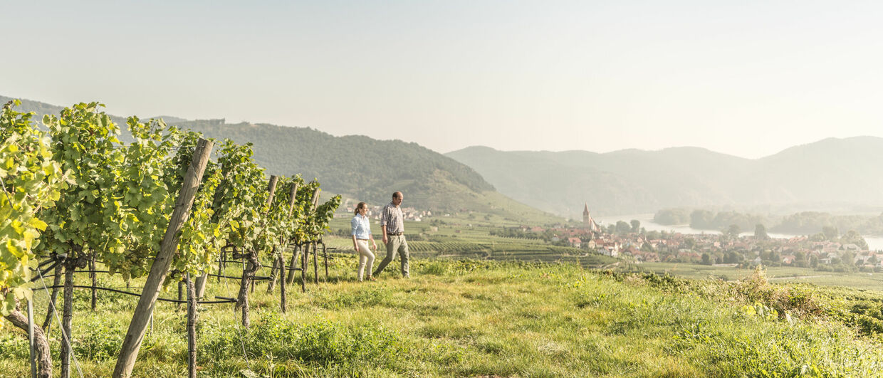 Wandern am Welterbesteig Wachau