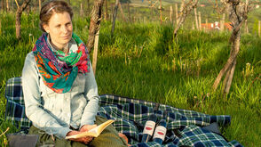 „Wein gut zum Lesen“ Posch am Hollerberg