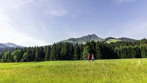 Unterwegs zum Eifersbacher Wasserfall