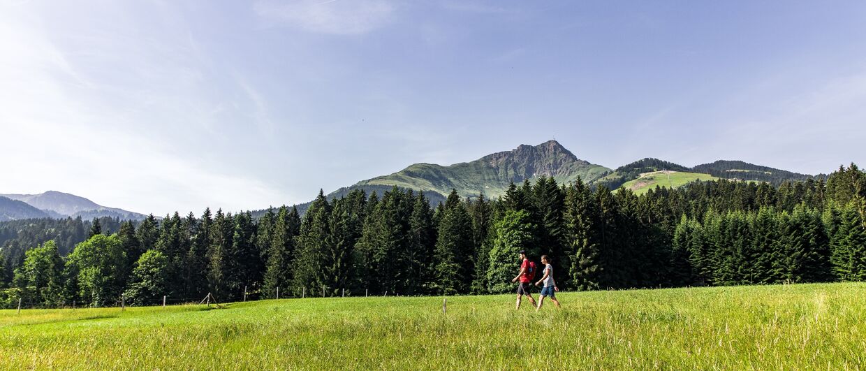 Unterwegs zum Eifersbacher Wasserfall