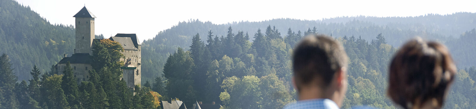 Blick auf die Burg Rappottenstein im Waldviertel