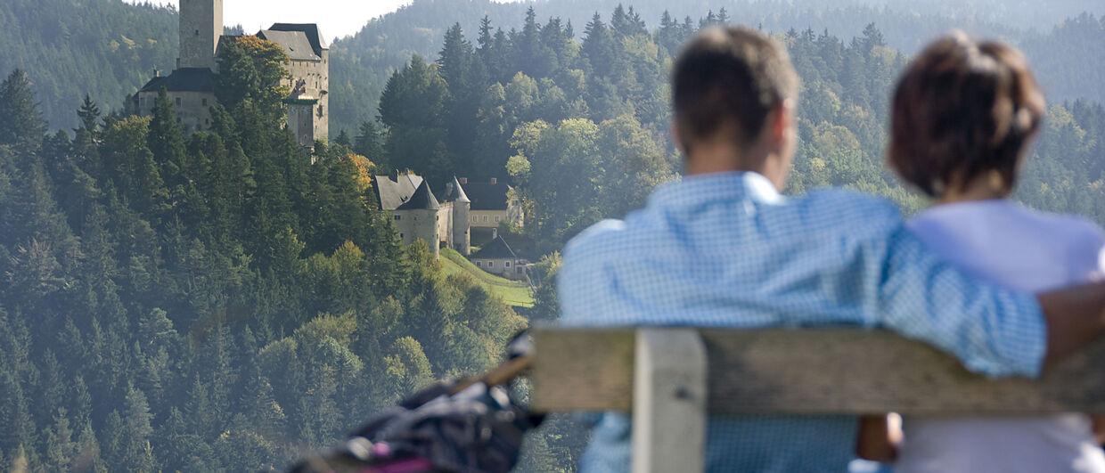 Blick auf die Burg Rappottenstein im Waldviertel