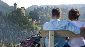 Blick auf die Burg Rappottenstein im Waldviertel