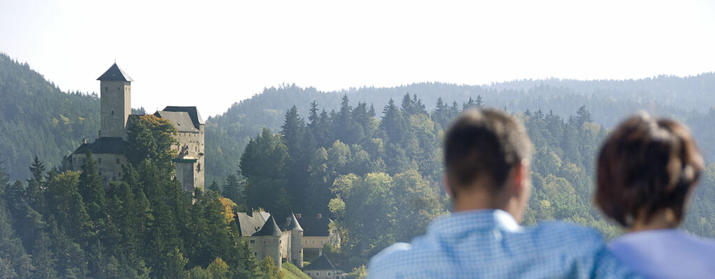 Blick auf die Burg Rappottenstein im Waldviertel