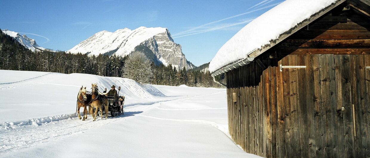 Mit der Pferdekutsche unterwegs im Bregenzerwald
