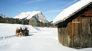 Mit der Pferdekutsche unterwegs im Bregenzerwald