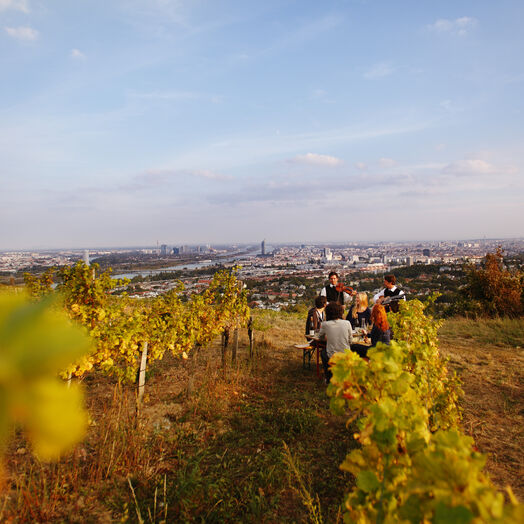 Vienna: the wine-growing capital of the world