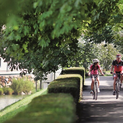 Erlauftalradweg bei Scheibbs