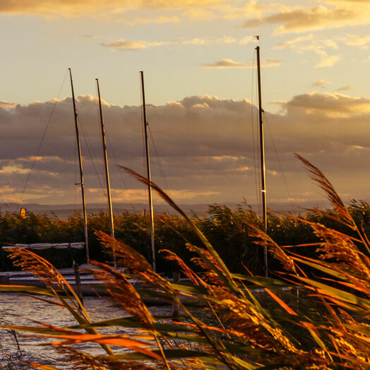 Abendstimmung am Neusiedler See im Burgenland