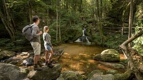 Ysperklamm
