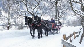 Auf stillen Wegen: Mit dem Pferdeschlitten durchs Raurisertal
