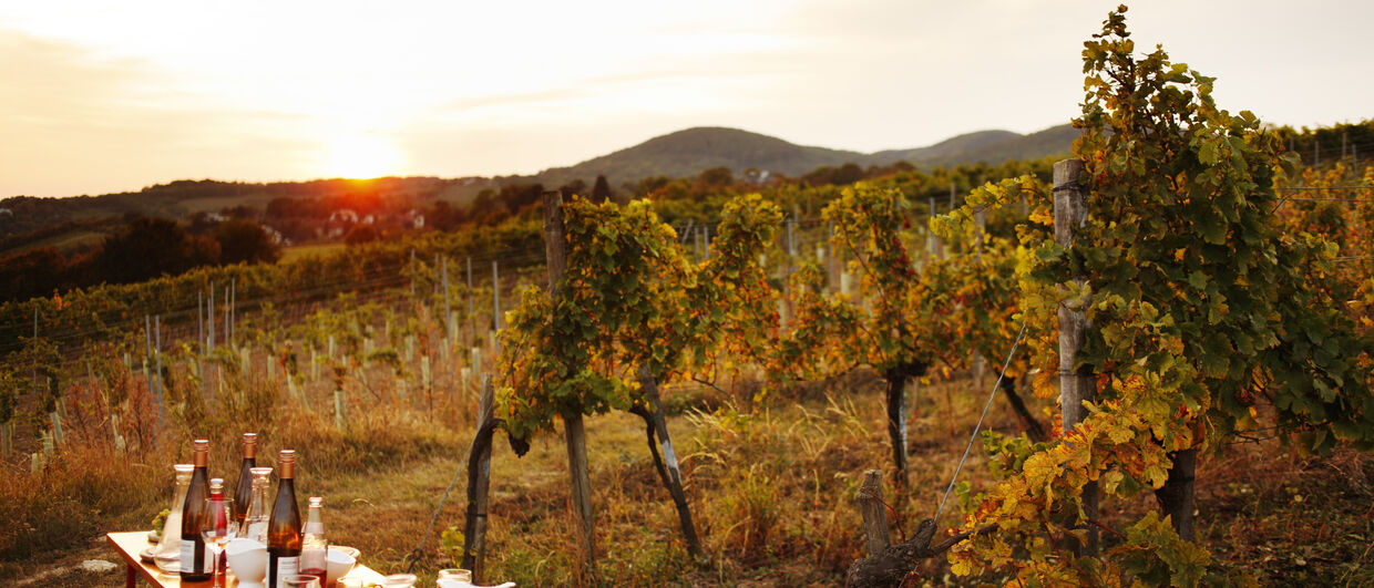 Weingut Wieninger am Nussberg