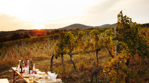 Weingut Wieninger am Nussberg