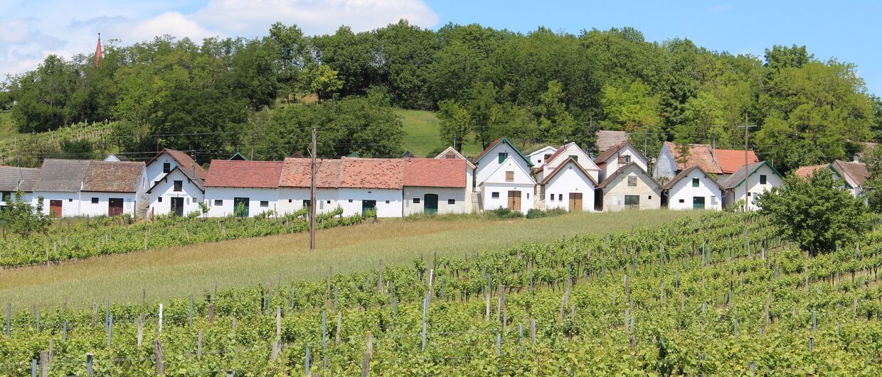 Kellergasse am Galgenberg im Weinviertel