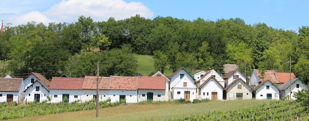 Kellergasse am Galgenberg im Weinviertel