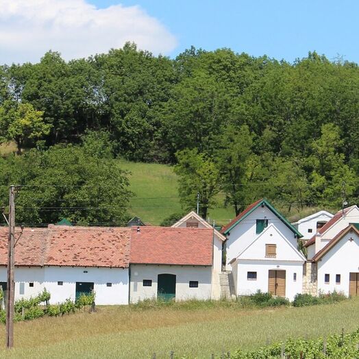 Kellergasse am Galgenberg im Weinviertel