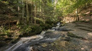 Ysperklamm