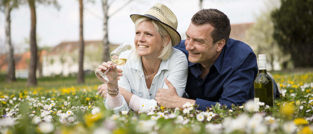 "Weintour Weinviertel" für entdeckungsfreudige Genießer