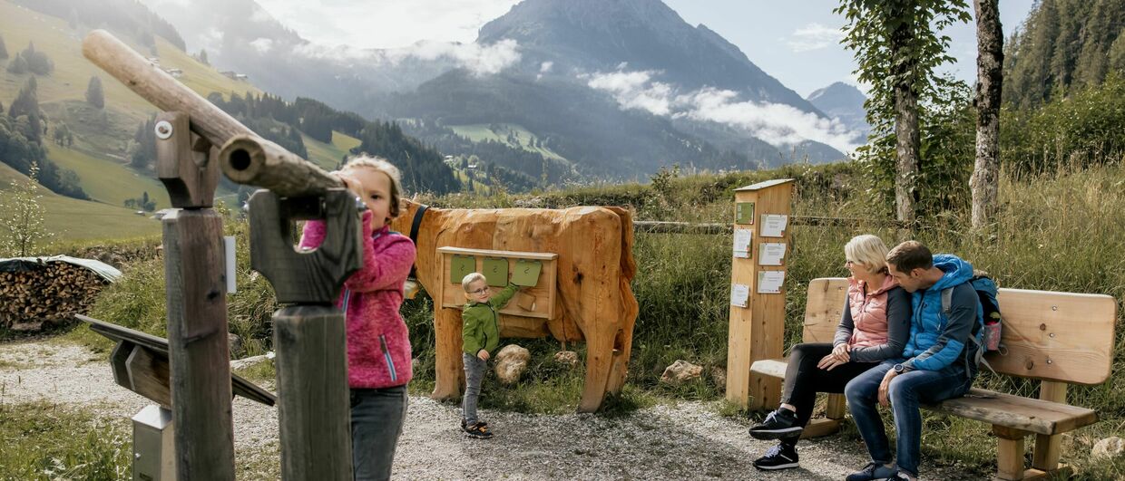 (c) Wagrein Kleinarl Tourismus