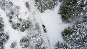 Im Pferdeschlitten durchs SalzburgerLand