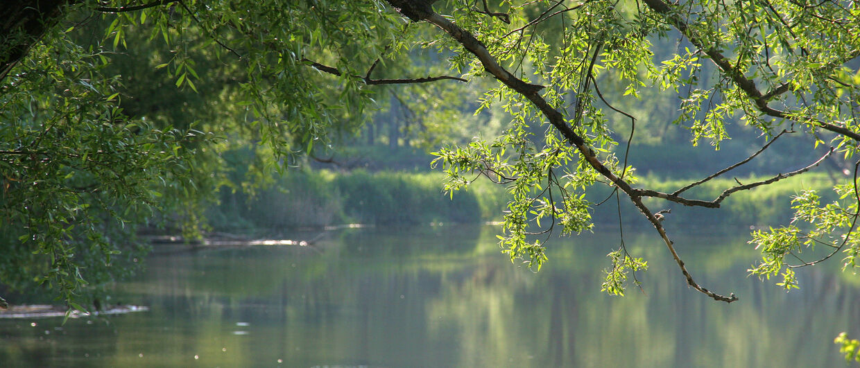 Nationalpark Donau-Auen